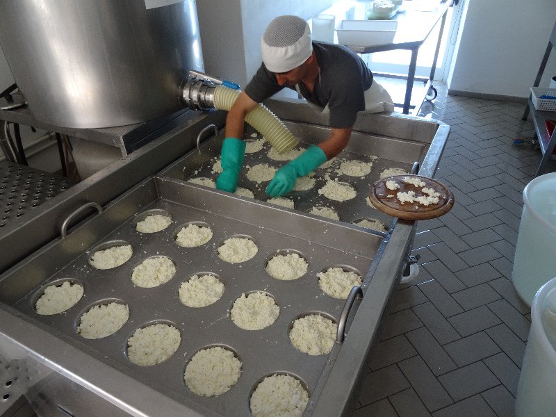 Filling the Cheese Molds