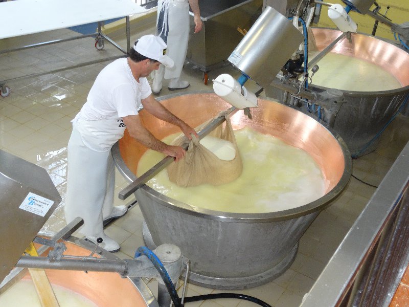 Parmesan Cheese Factory