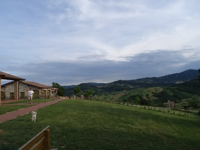 View from the BBQ area at the farm stay