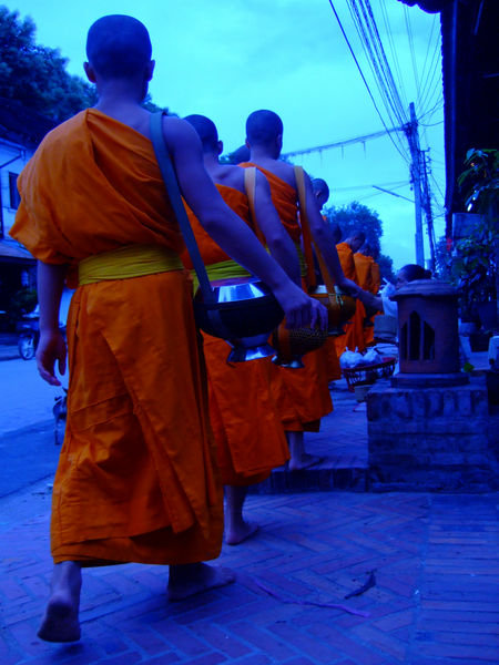Blue monks