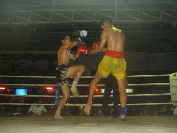 muay thai boxing