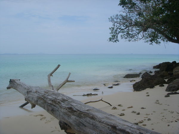 coral beach-phi phi