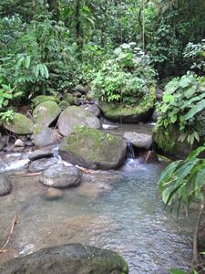 Manuel Antonio (14)