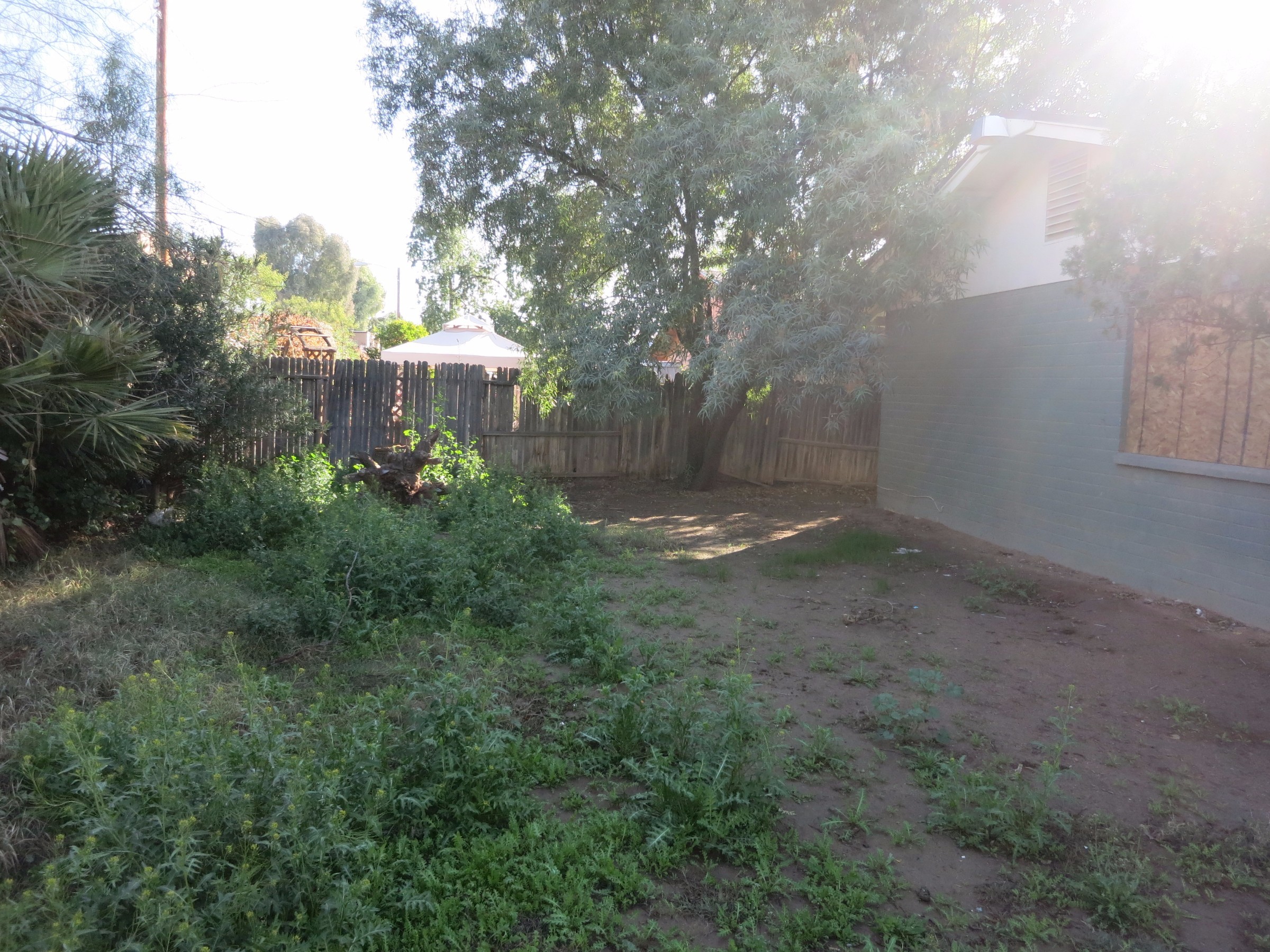 Backyard Before | Photo