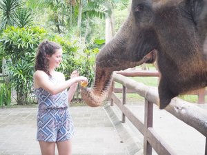 Emily feeding the elephant
