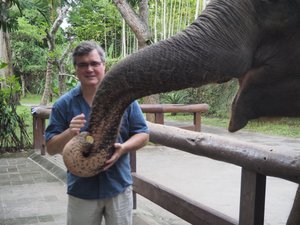 Brett feeding the elephant