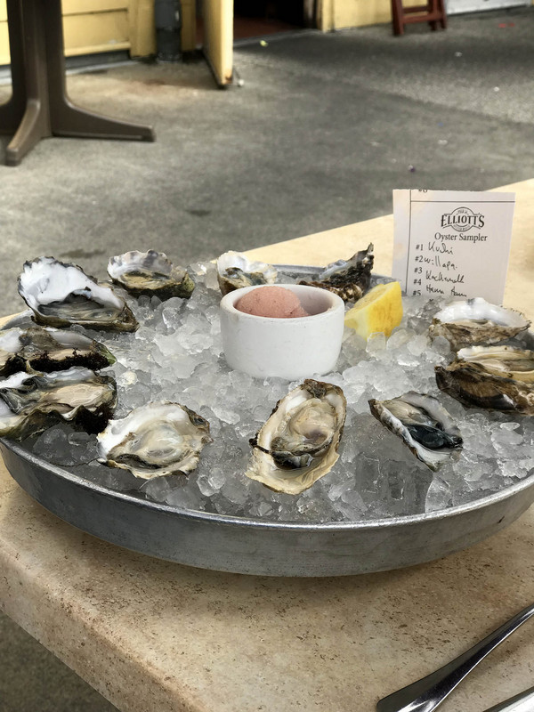 Drury's selection of raw oysters
