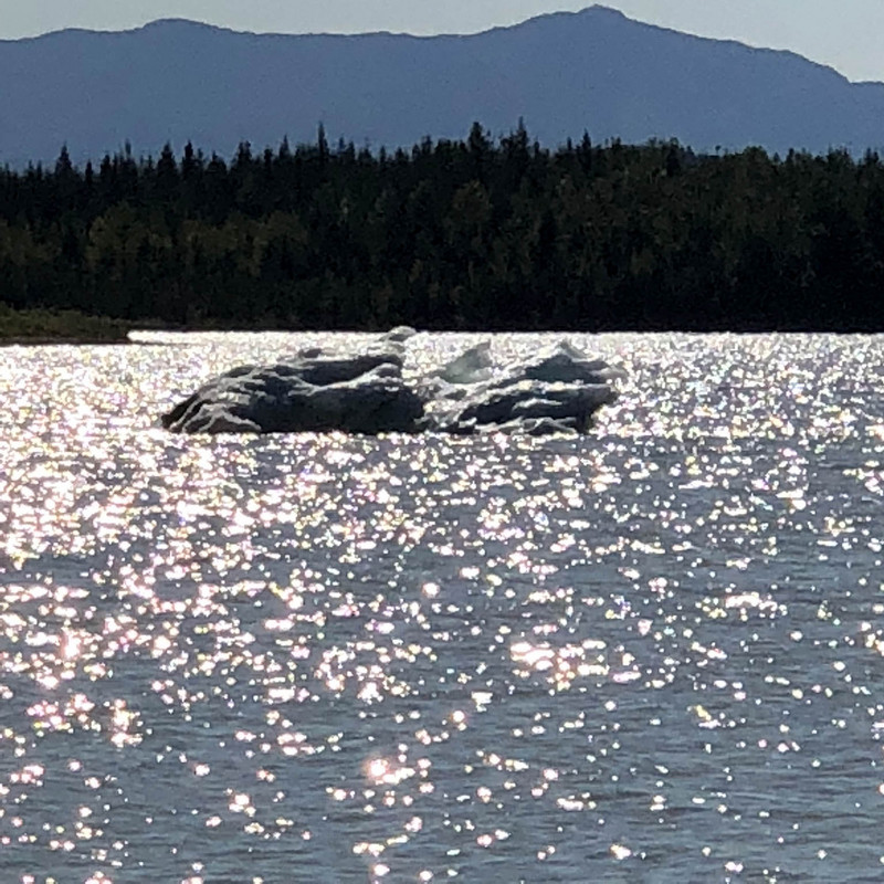 Iceberg floating around the lake