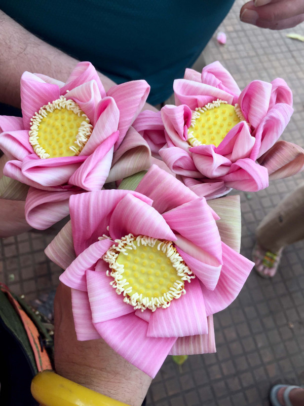 Learning how to fold the lotus flower