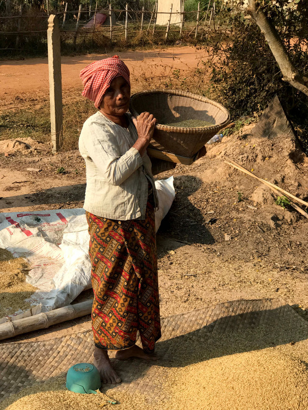 82 year old woman separating the rice
