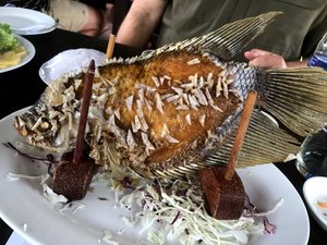 Scary looking fish for lunch