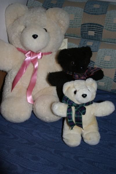 our Teddies - Caitlyn, Tambo and ?????