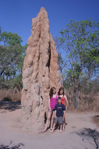 Big Termites