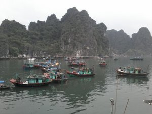 Le port de pêcheurs à Hon Gai
