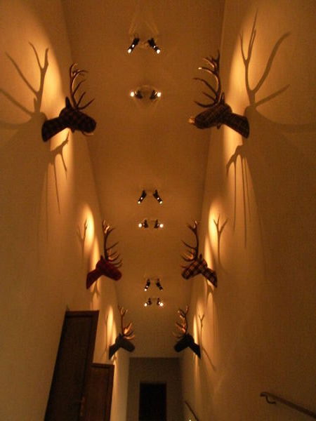 The Hallway of Elks!!!!