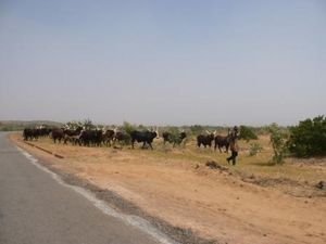 Niger Road Hazzard