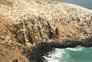 wblg cliffs