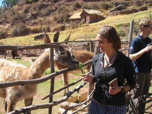 The Sacred Valley