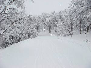 Bariloche