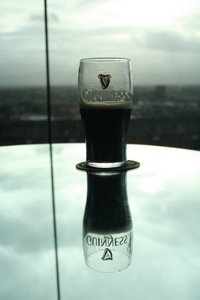 Guinness enjoys the view of Dublin