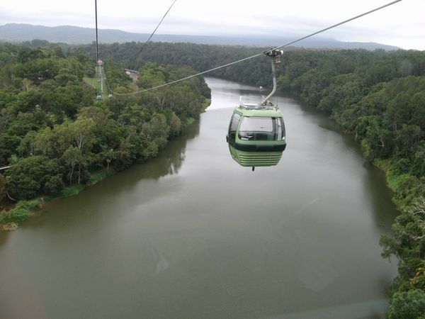Skyrail & The rainforest