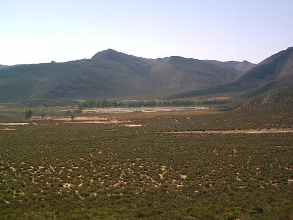 View of the game reserve