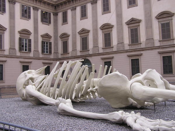 wierd skeleton outside of the cathedral