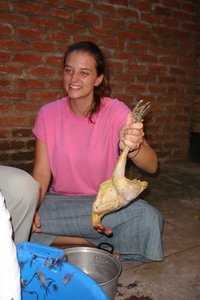 Killing chickens...