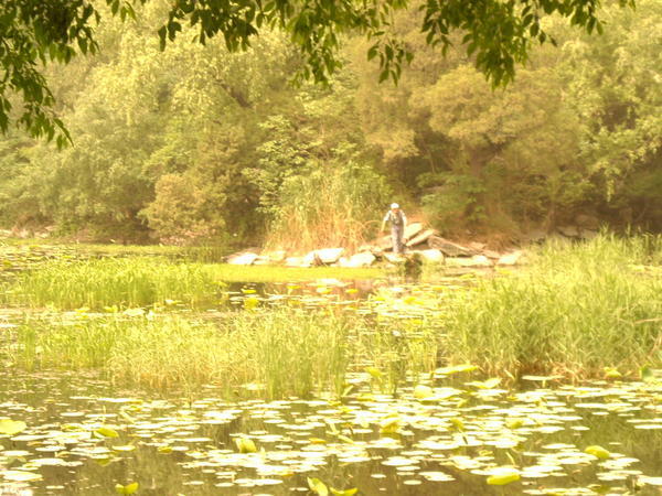 A local fishing in the pond