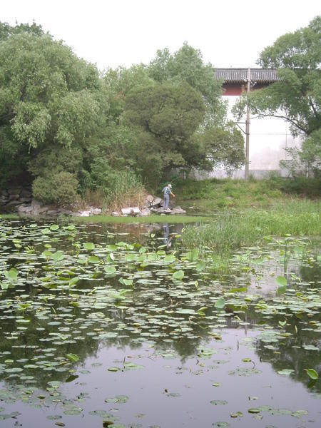 A local fishing in the pond