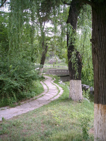 the path around the pond