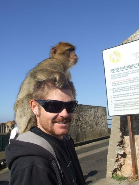 monkeying around in Gibralter