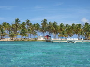 Turneffe reef Belize