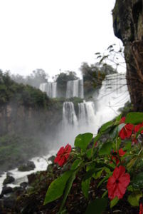 falls and flowers
