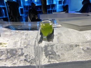 A Kiwi in a glass made of ice.