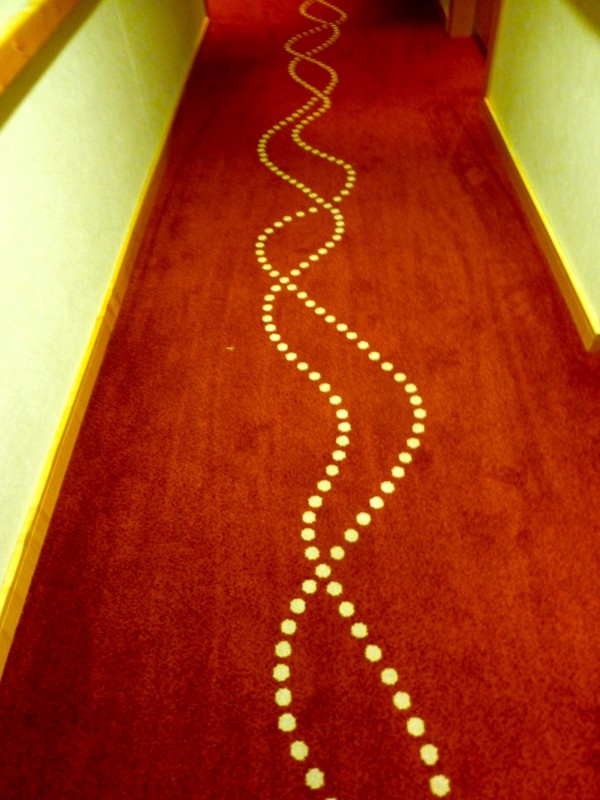 Squggly lines all the way down the corridor to my room.