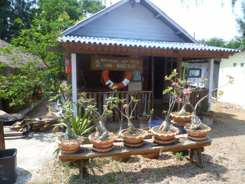 Homestay £11 per night for authentic Thai House