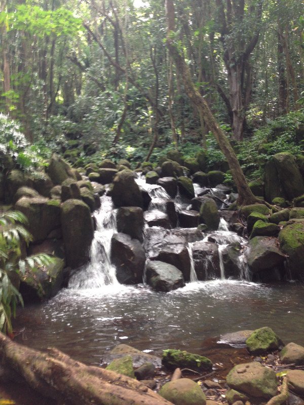 Kauai Waterfalls 