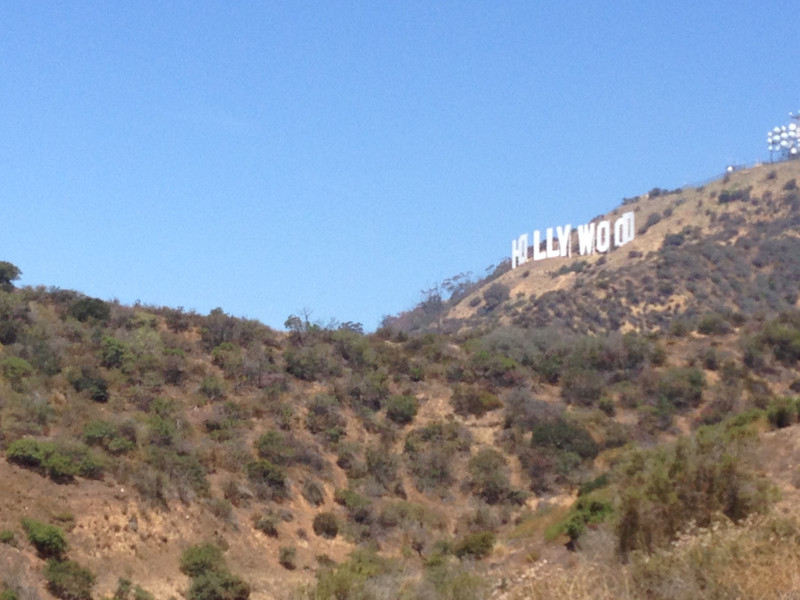 Horseback by Hollywood sign