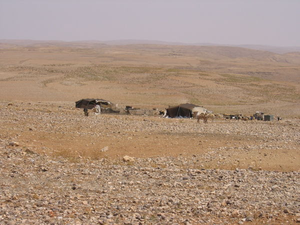 Bedouin camps
