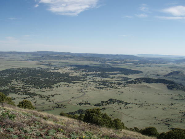 View From the Upper Rim of Mt. Capulin