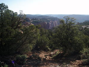 Navajo National Monument 4
