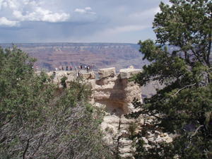 Grand Canyon National Park 10