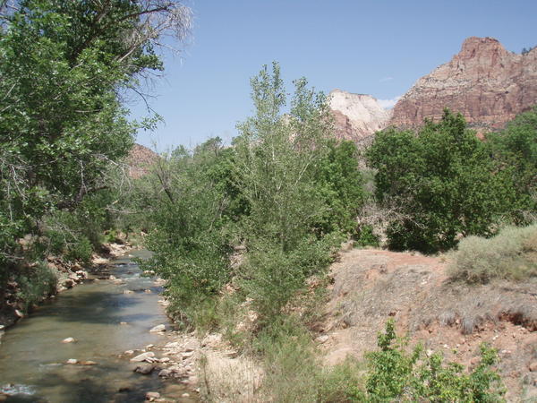 Zion Canyon River