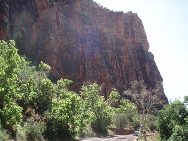Driving out of Zion