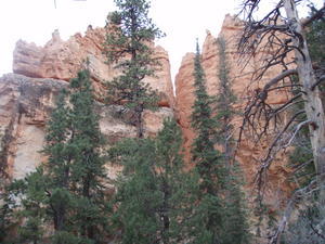 Bryce Canyon 9