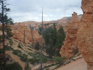 Bryce Canyon 14