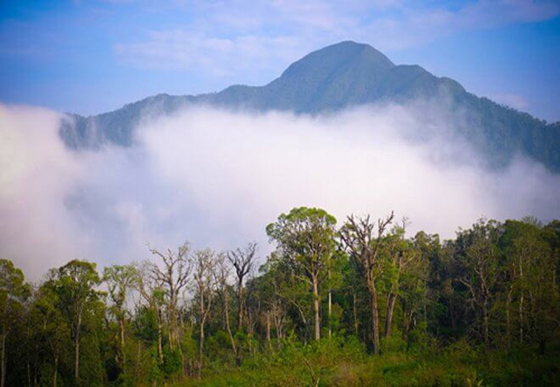 Scenic Paradises on Cloud in Vietnam 2