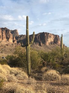 Saguaro Superstition