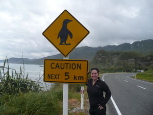 New Zealand signs